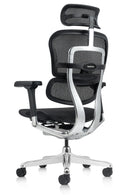 Eurotech Ergo High Back-Mesh Managers Chair ME7ERG