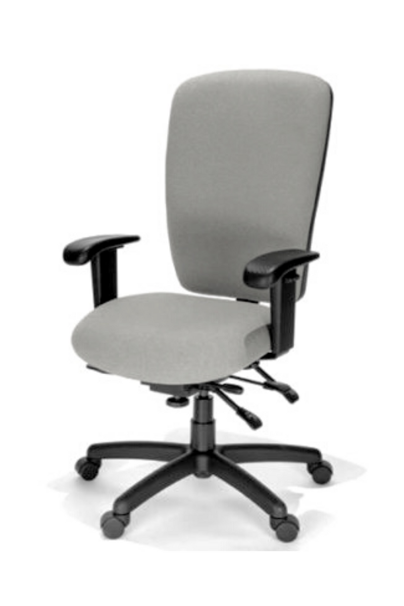RFM Rainier Funky High Back Office Chair - gray