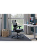 HON product image