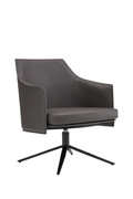 Signa Swivel Lounge Chair by Euro Style 38988
