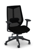 Friant Ignite Mesh Task Chair FD00253