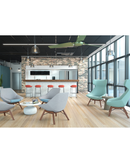 9 to 5 JAX-MID-BACK LOUNGE SEATING CHAIR (9201)