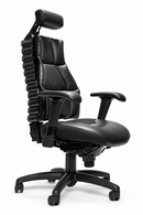 Verte Ergonomic Chair by RFM
