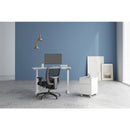 FRIANT Office Chairs Photos