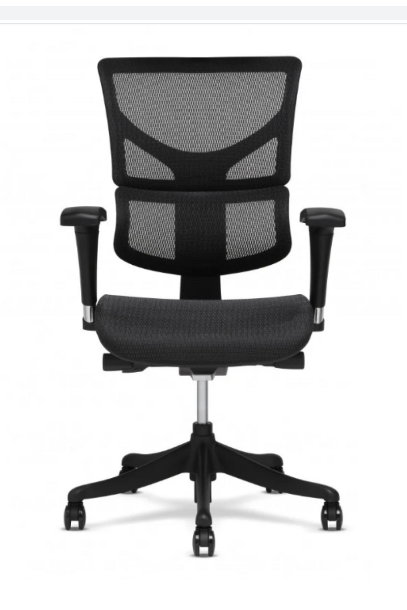 X-Chair, X1-Flex Mesh Task Chair