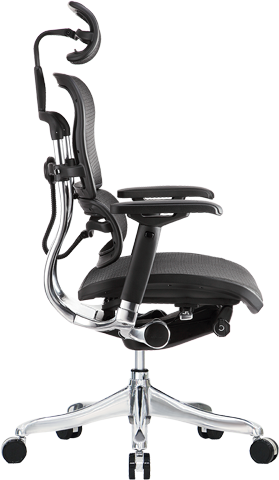 Raynor best sale eurotech ergochair