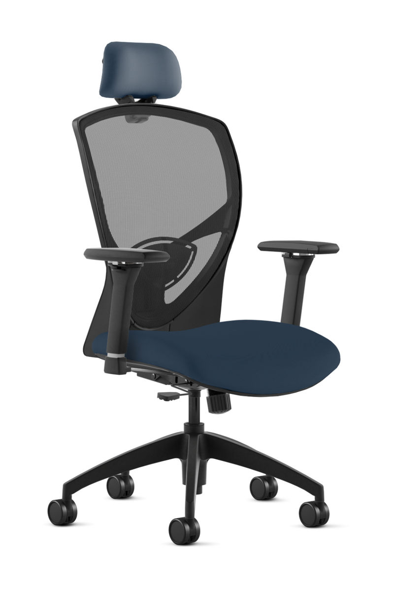 New aeron lite plus with headrest hotsell