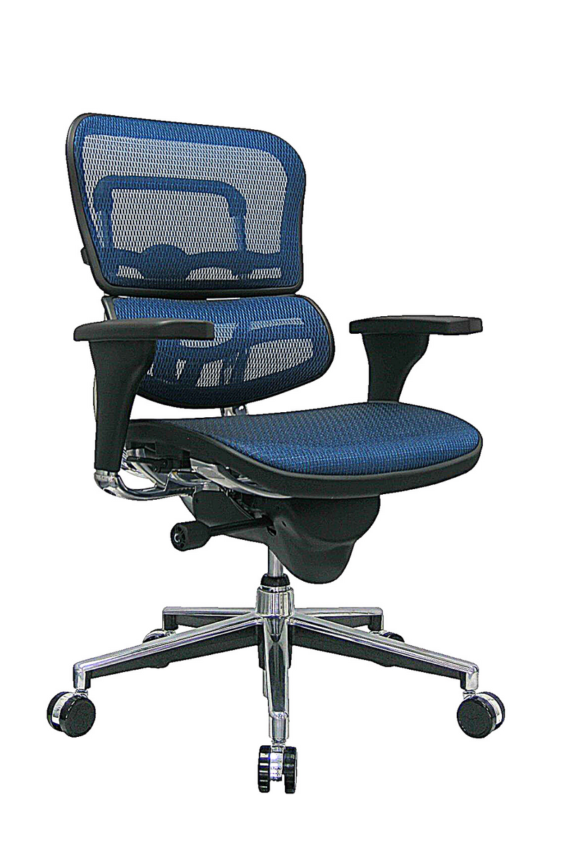 Eurotech Ergo Low Back Fabric Seat Mesh Back