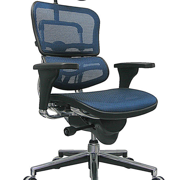 Eurotech seating ergohuman high back mesh managers chair store