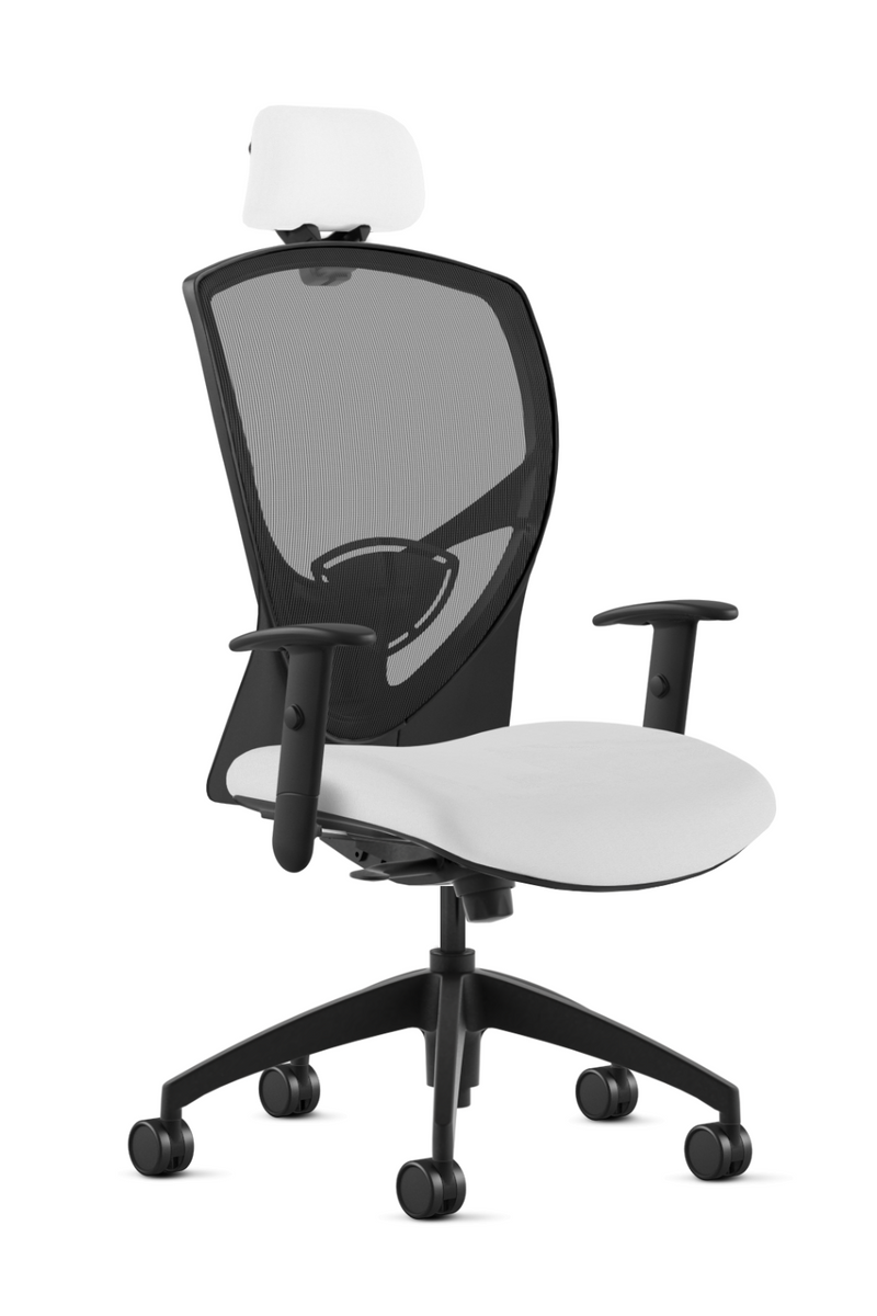 9 to 5 Theory High Back Ergonomic Task Chair with Headrest and Seat Sl