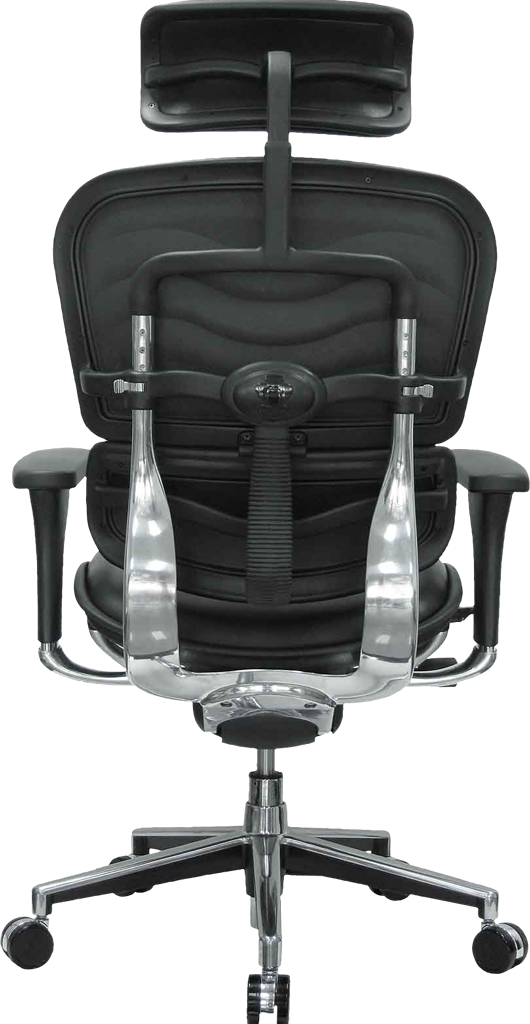 Eurotech Ergonomic High Back with Headrest LE9ERG Eurotech Ergonomic High Back with Headrest LE9ERG