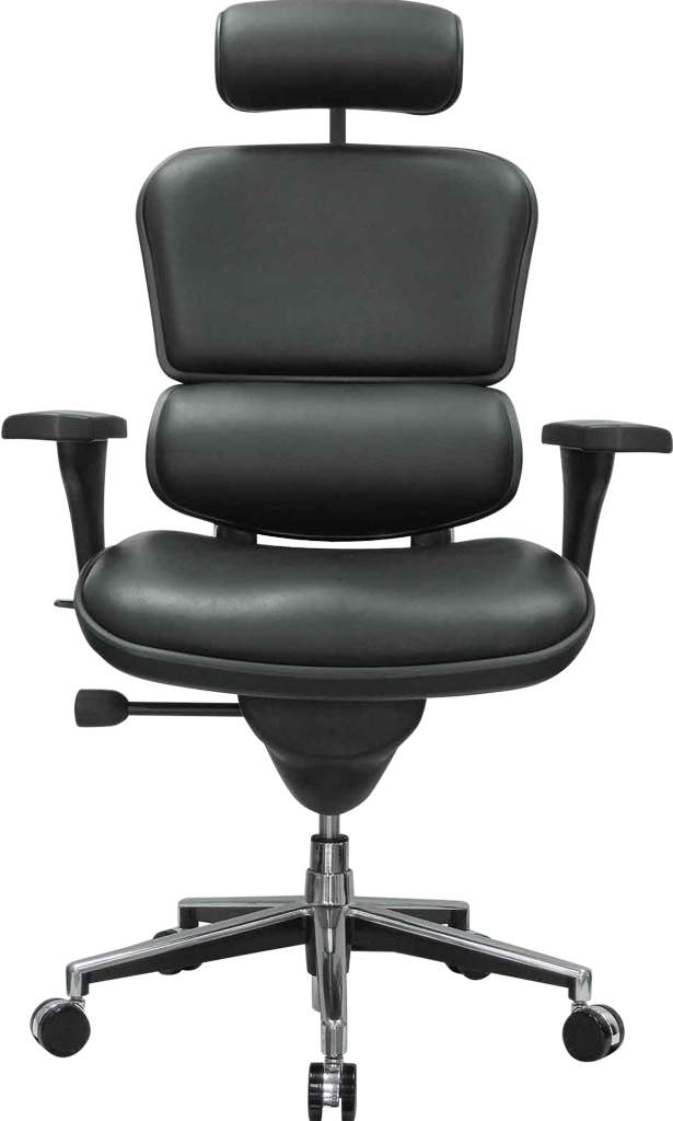 Eurotech Ergonomic High Back Chair - Product Photo 2