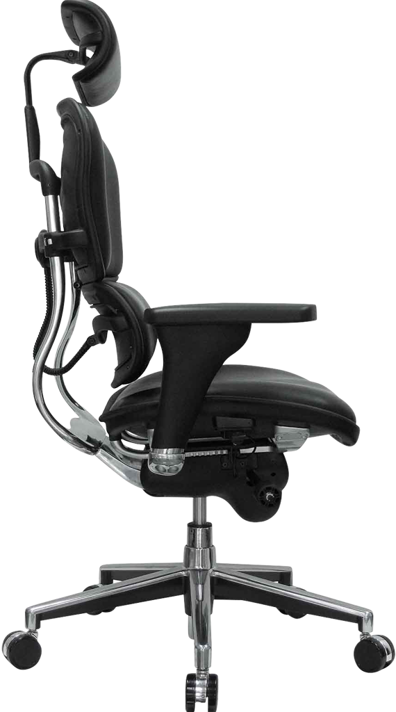Ergohuman plus office best sale chair